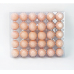 Plastic egg tray