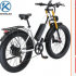 electric bicycle